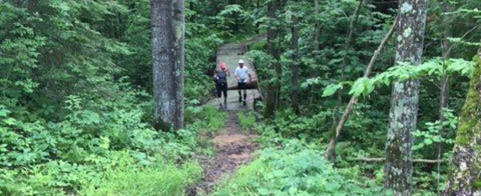 IMG_4810